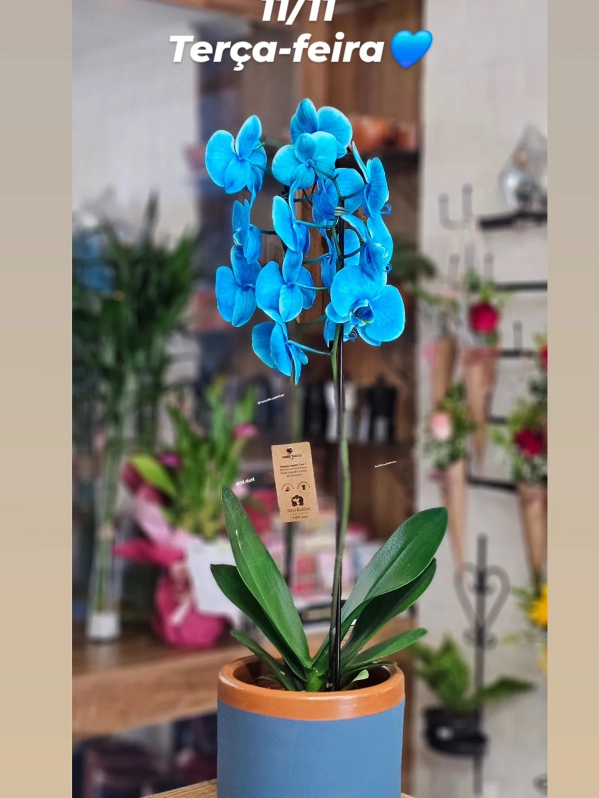 Trabalho publicado pela Flor&Cia Boutique de Flores